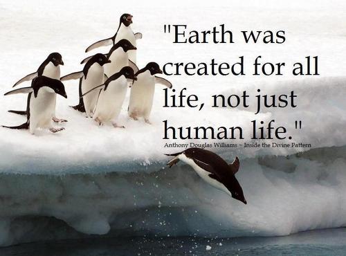 Earth was created for all life, not just human life. | Anthony D