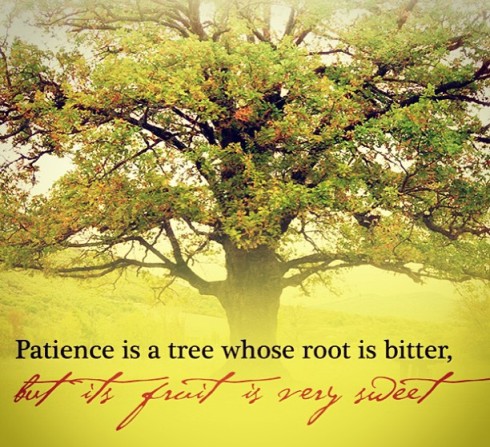 quotes tree patience root whose unknown quoteswave bitter fruit very its but