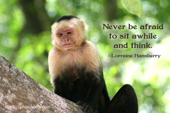 Never be afraid to sit awhile and think. | Lorraine Hansberry Picture ...