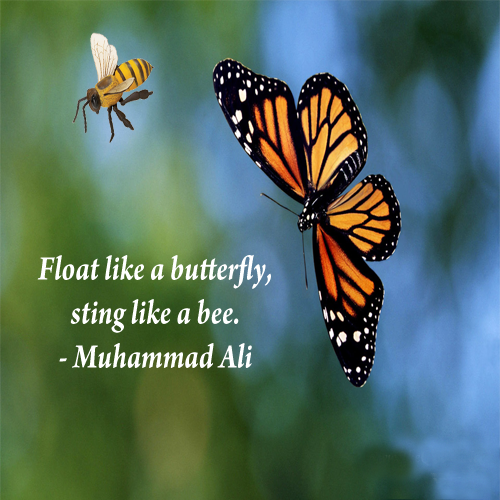 Float like a butterfly  sting like a bee Muhammad Ali 