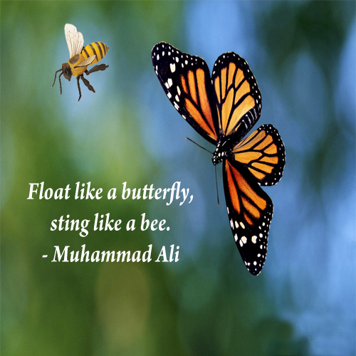 Float Like A Butterfly Sting Like A Bee Muhammad Ali Picture Quotes Quoteswave