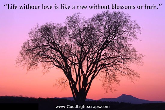 Life Without Love Is Like A Tree Without Blossoms Or Fruit.