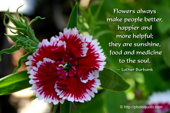 Flowers always make people better, happier, and more helpful; they are