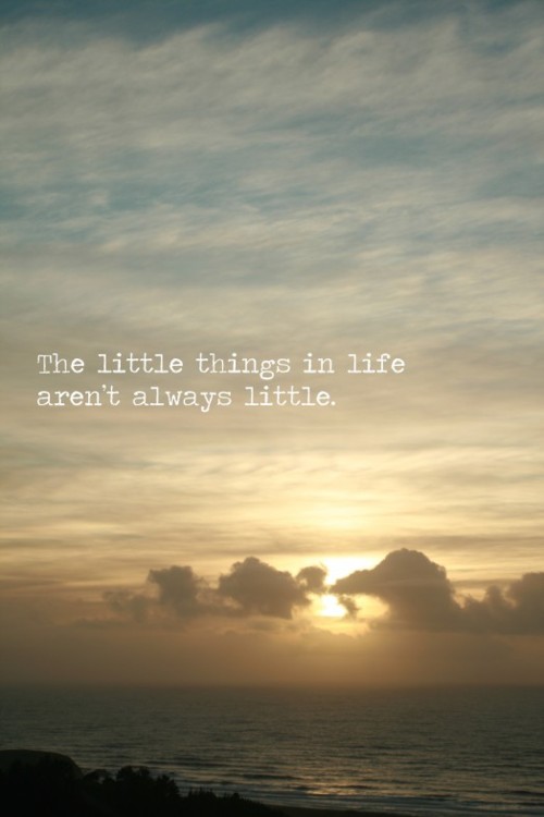 The little things in life aren't always little. | Unknown Picture