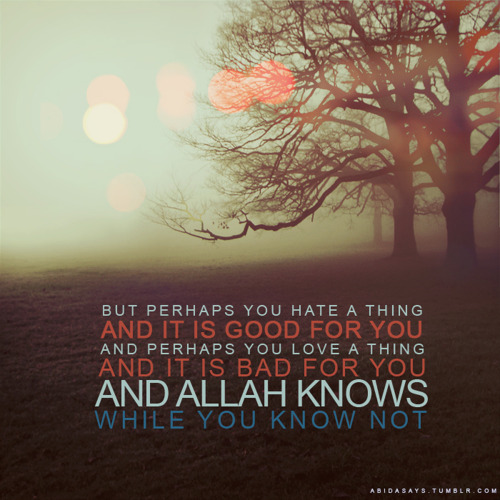 But perhaps you hate a thing and it is good for you and... | Unknown