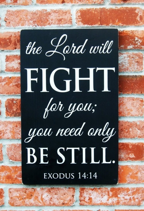 The lord will fight for you; you need only be still. | Unknown Picture
