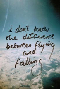 I don't know the difference between flying and falling. | Unknown ...