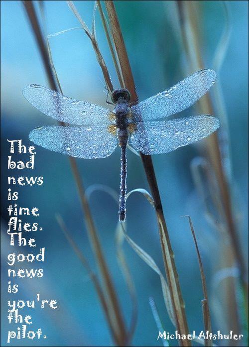 The bad news is time flies. The good news is you're the pilot