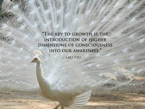 The key to growth is the introduction of higher dimensions of consciousness  into... | Lao Tzu Picture Quotes | Quoteswave