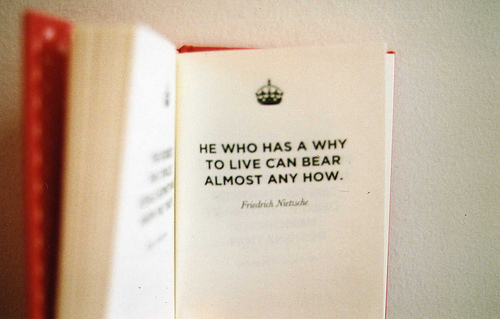 He who has a why to live can bear almost any how. | Friedrich Nietzsche