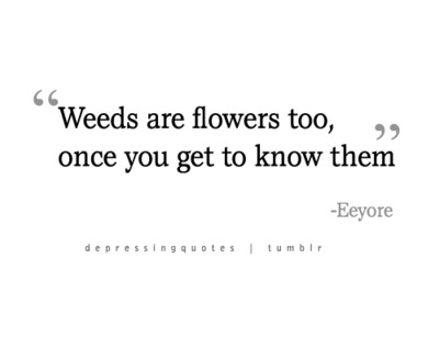 Weeds Are Flowers Too, Once You Get To Know Them. | Eeyore Picture Quotes | Quoteswave