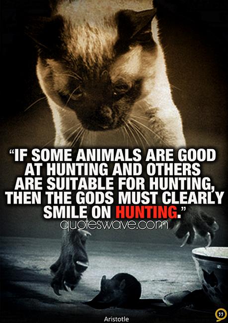 If some animals are good at hunting and others are suitable for hunting