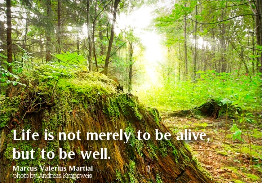 Life is not merely to be alive, but to be well. | Marcus Valerius ...