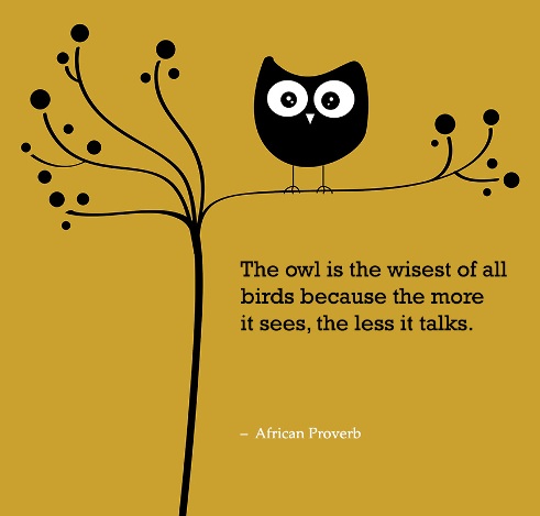 The owl is the wisest of all birds because the more it sees