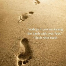 Walk as if you are kissing the Earth with your feet. | Thich Nhat Hanh ...