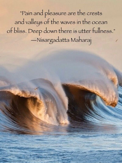 Pain and pleasure are the crests and valleys of the waves in the